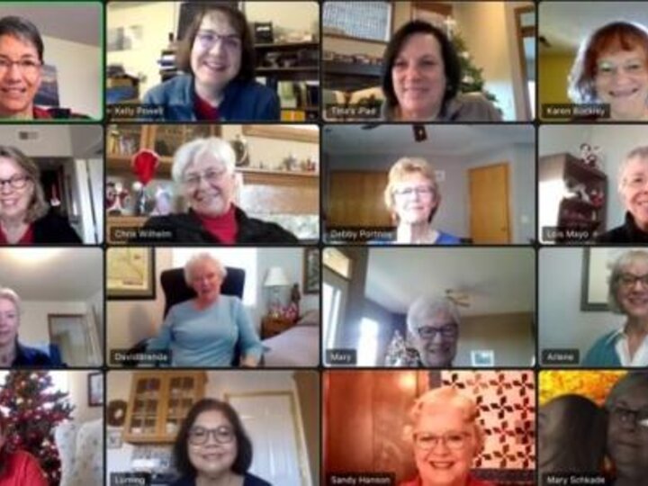 Screen shot of Zoom meeting.