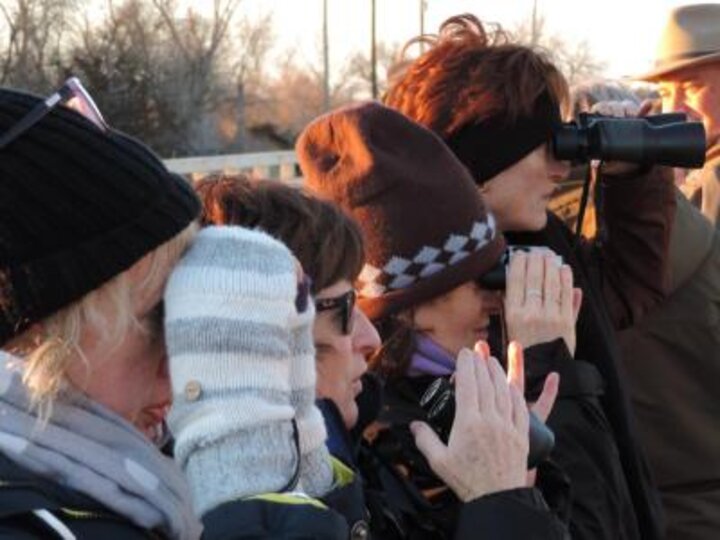 Club members looking at cranes through binoculars